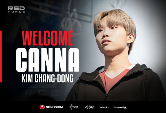 探索DOTA2人格类型测试揭示的角色特质